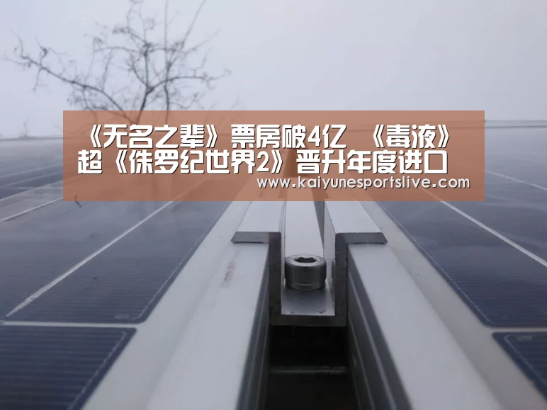 《无名之辈》票房破4亿 《毒液》超《侏罗纪世界2》晋升年度进口片亚军-开云入口(图2) 开云APP