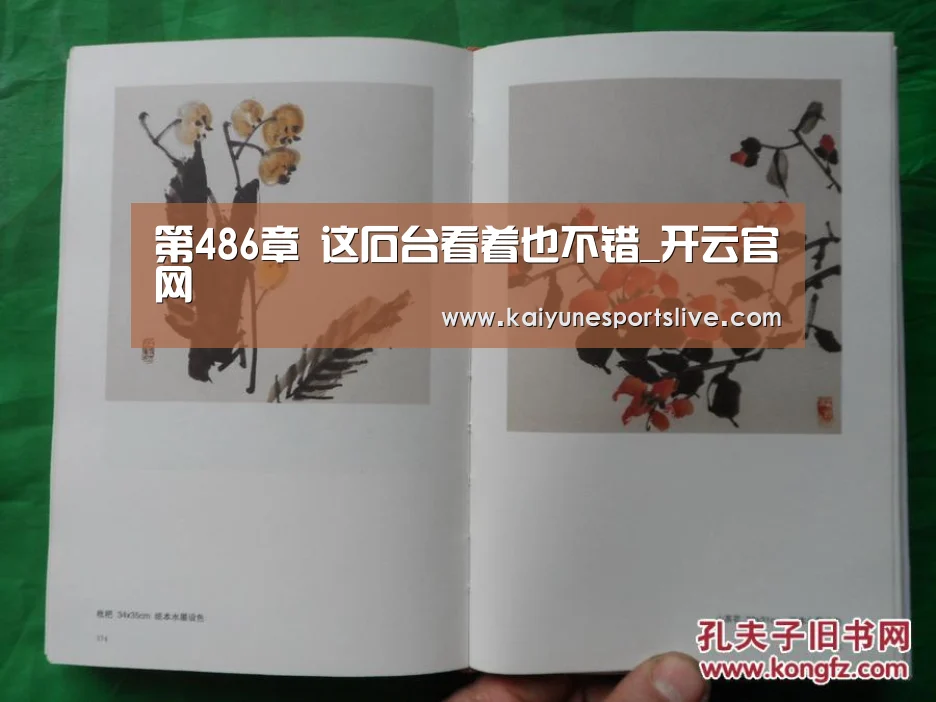 开云登录