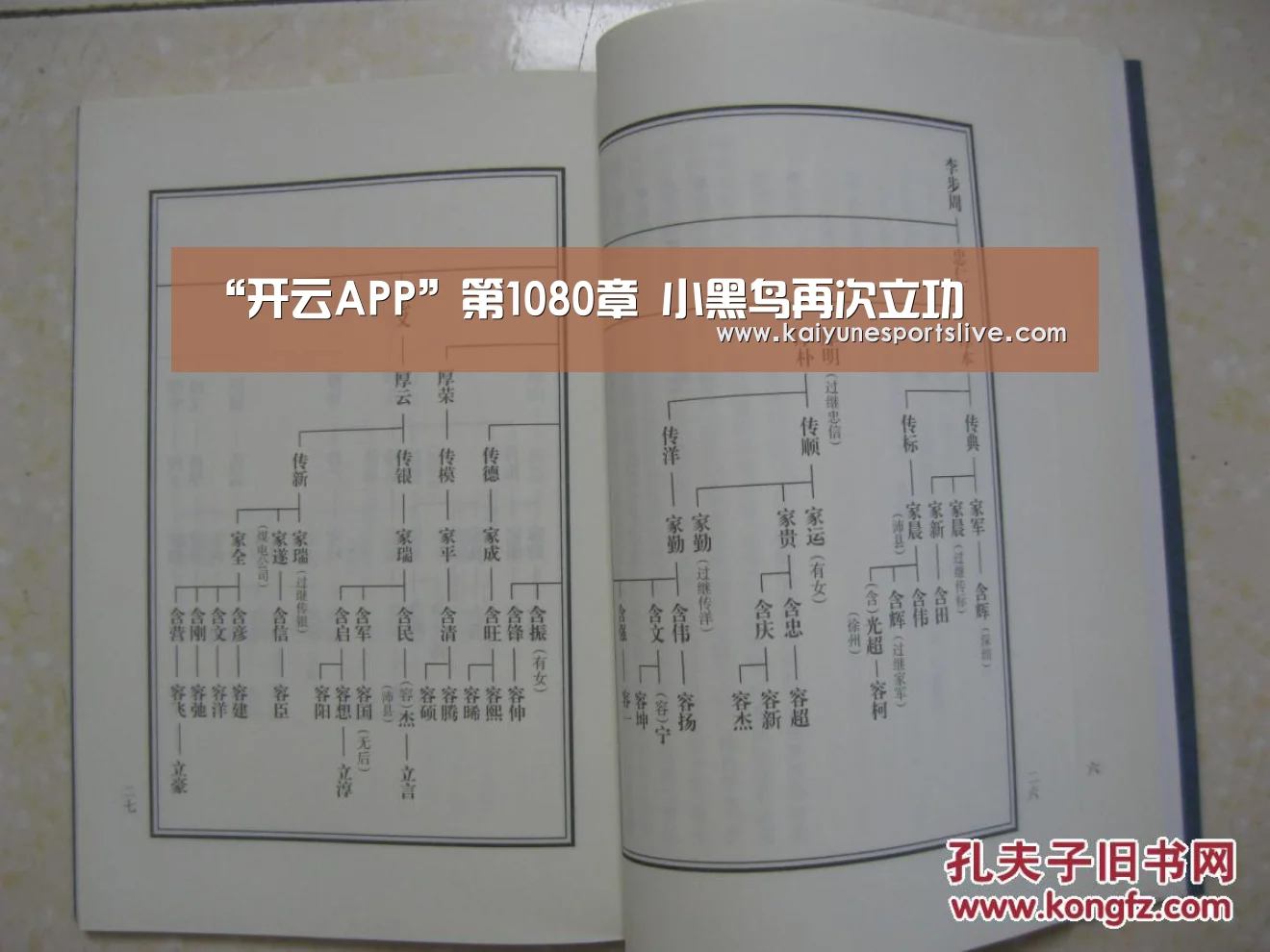 “开云APP”第1080章 小黑鸟再次立功(图1) 开云入口