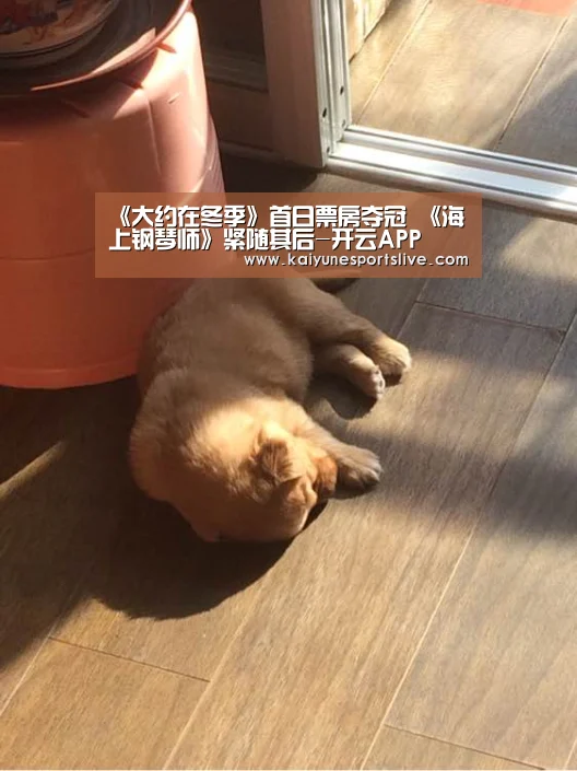 《大约在冬季》首日票房夺冠 《海上钢琴师》紧随其后-开云APP(图3) 开云官网